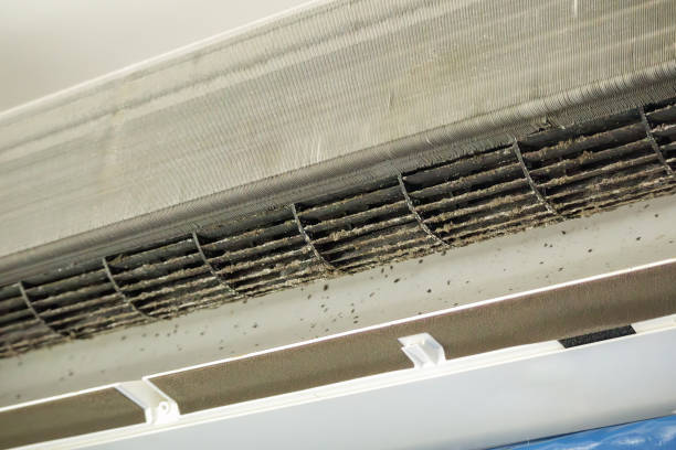 Best Local Air Duct Cleaning Services  in Summit, WA